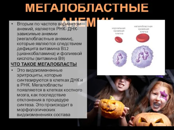 МЕГАЛОБЛАСТНЫЕ АНЕМИИ Вторым по частоте вариантом анемий, являются РНК- ДНК-зависимые анемии (мегалобластные