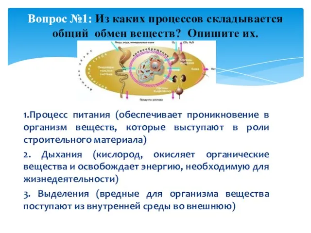 1.Процесс питания (обеспечивает проникновение в организм веществ, которые выступают в роли строительного