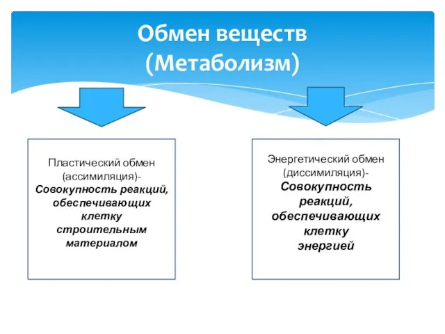 Обмен веществ (Метаболизм) Пластический обмен (ассимиляция)-Совокупность реакций, обеспечивающих клетку строительным материалом Энергетический