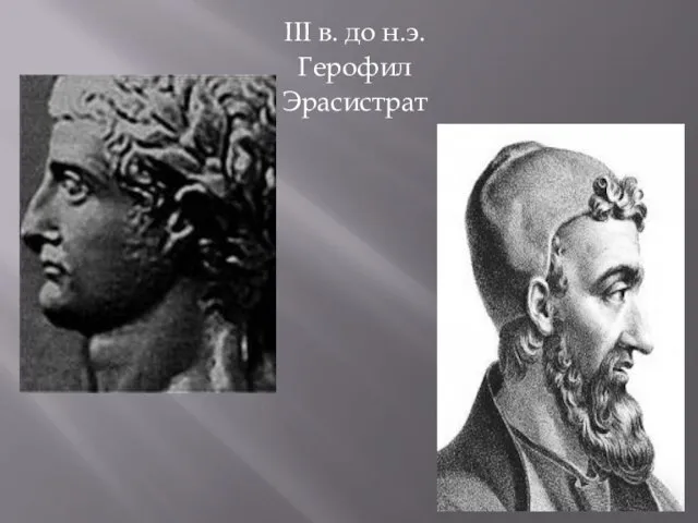 III в. до н.э. Герофил Эрасистрат