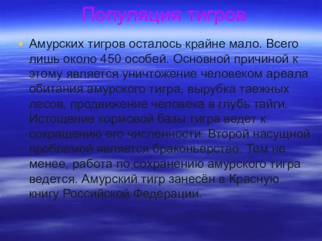 Популяция тигров Амурских тигров осталось крайне мало. Всего лишь около 450 особей.