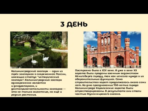 3 ДЕНЬ Калининградский зоопарк — один из трёх зоопарков в современной России,