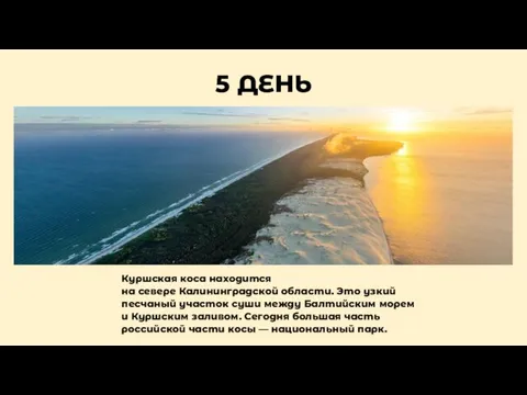 5 ДЕНЬ Куршская коса находится на севере Калининградской области. Это узкий песчаный