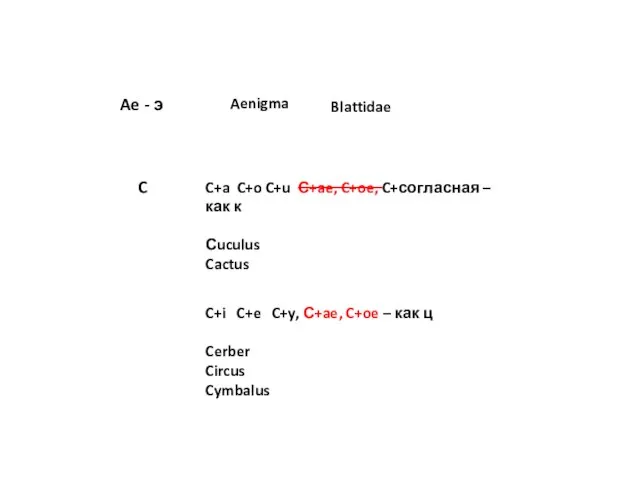 Ae - э Aenigma Blattidae C C+a C+o C+u С+ae, C+oe, C+согласная