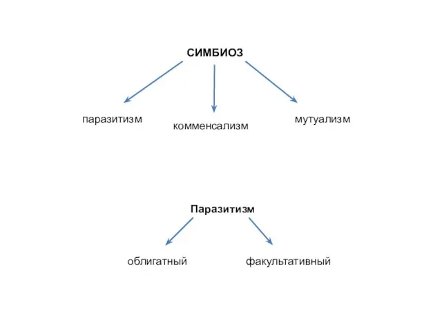 СИМБИОЗ паразитизм комменсализм мутуализм Паразитизм облигатный факультативный