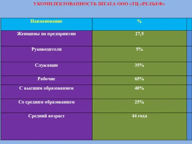 УКОМПЛЕКТОВАННОСТЬ ШТАТА ООО «ТЦ «РЕЛЬЕФ»