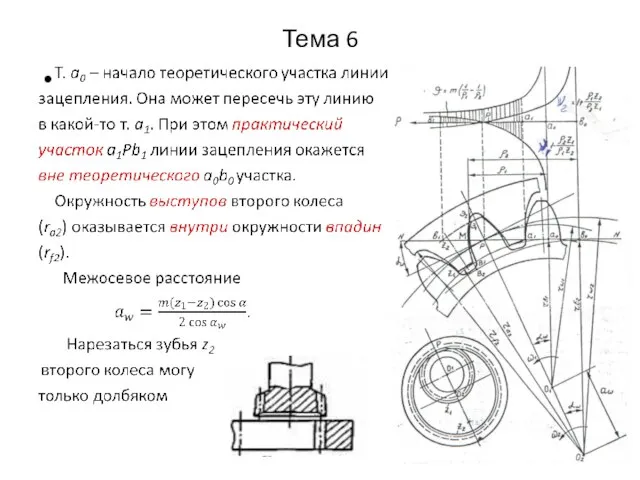 Тема 6