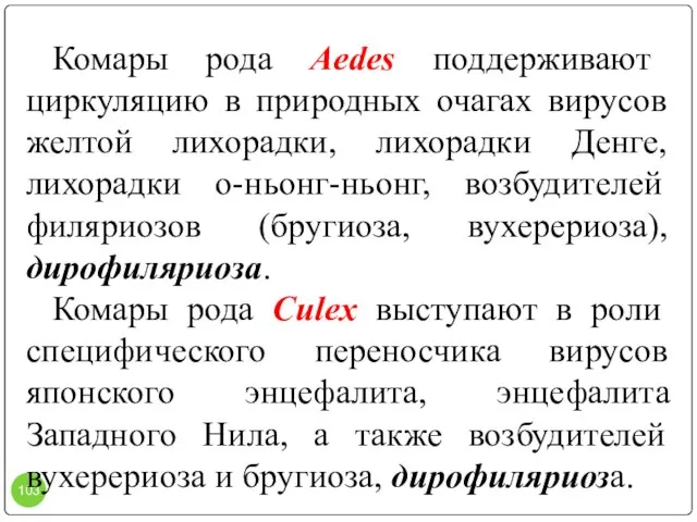 Комары рода Aedes поддерживают циркуляцию в природных очагах вирусов желтой лихорадки, лихорадки