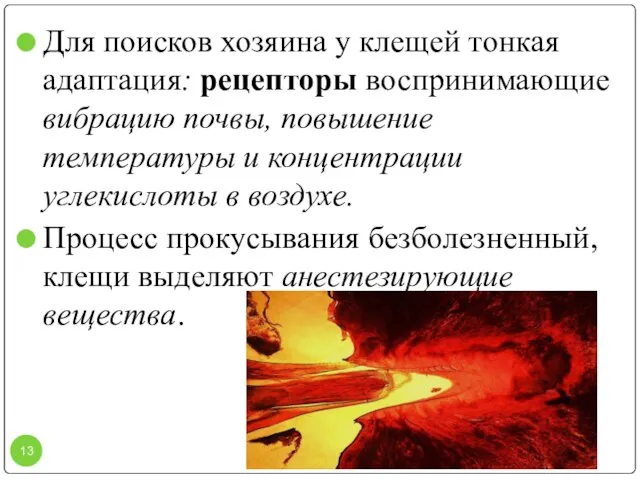 Для поисков хозяина у клещей тонкая адаптация: рецепторы воспринимающие вибрацию почвы, повышение