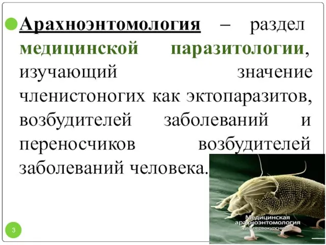 Арахноэнтомология – раздел медицинской паразитологии, изучающий значение членистоногих как эктопаразитов, возбудителей заболеваний