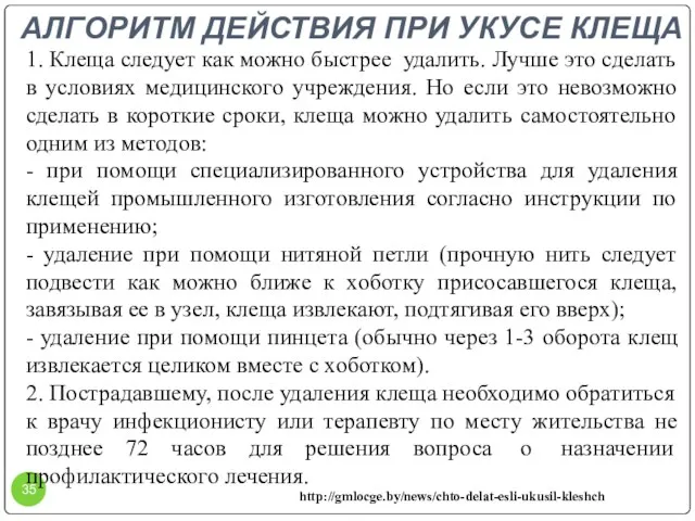 АЛГОРИТМ ДЕЙСТВИЯ ПРИ УКУСЕ КЛЕЩА 1. Клеща следует как можно быстрее удалить.