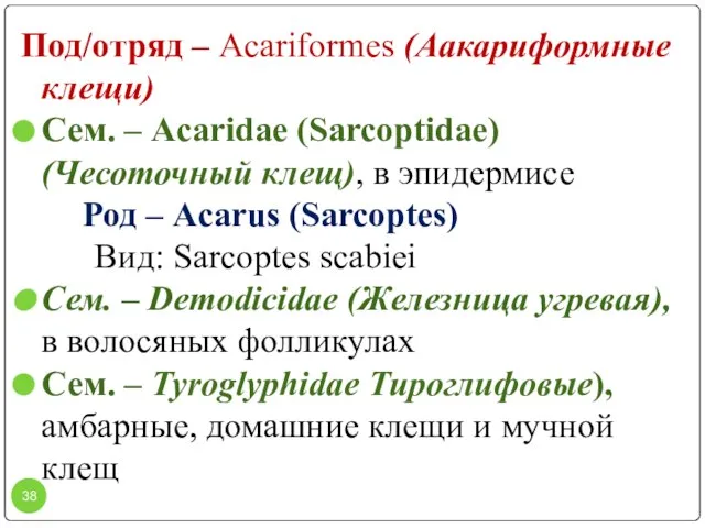 Под/отряд – Acariformes (Аакариформные клещи) Сем. – Acaridae (Sarcoptidae) (Чесоточный клещ), в