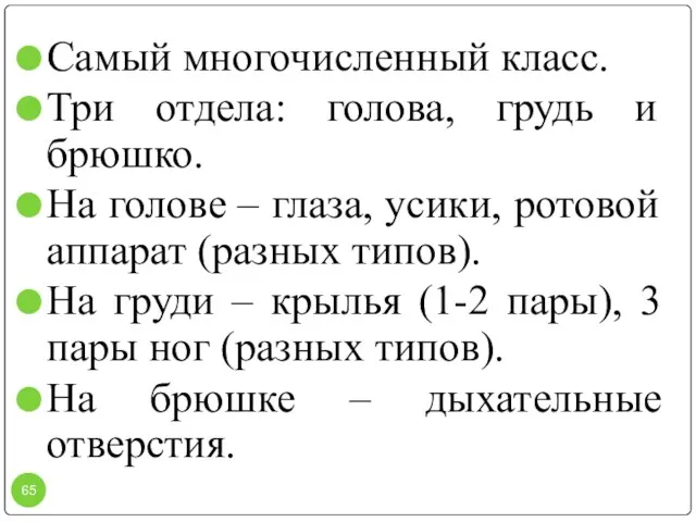 Самый многочисленный класс. Три отдела: голова, грудь и брюшко. На голове –