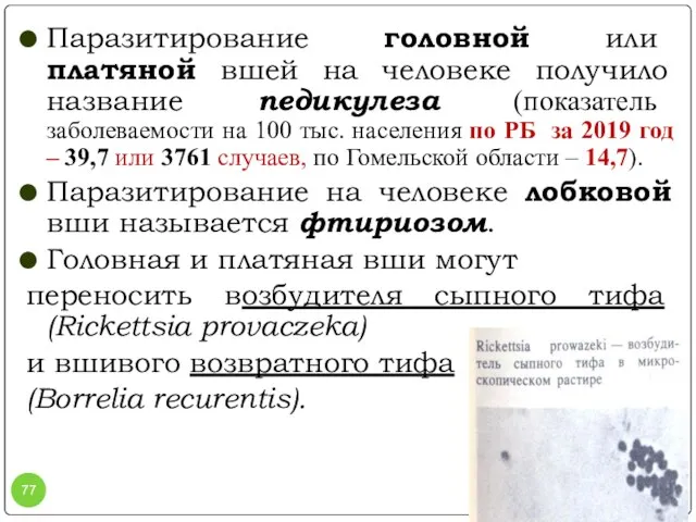 Паразитирование головной или платяной вшей на человеке получило название педикулеза (показатель заболеваемости