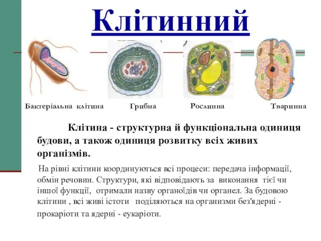 Клітинний Бактеріальна клітина Грибна Рослинна Тваринна Клітина - структурна й функціональна одиниця