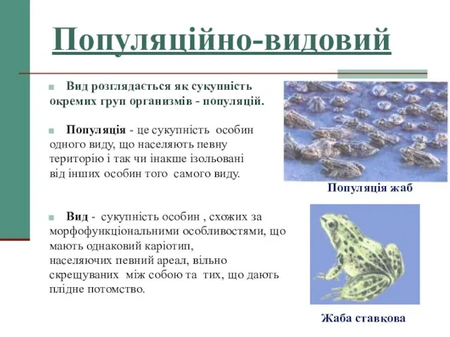 Популяційно-видовий Вид розглядається як сукупність окремих груп организмів - популяцій. Популяція -