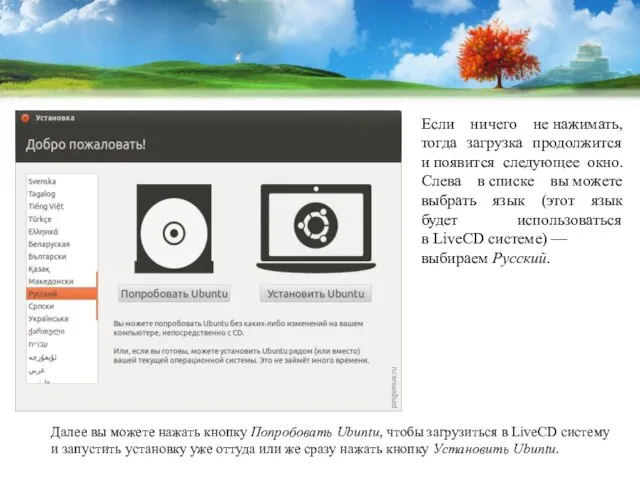 Если ничего не нажимать, тогда загрузка продолжится и появится следующее окно. Слева