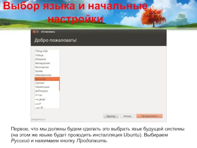 Выбор языка и начальные настройки Первое, что мы должны будем сделать это
