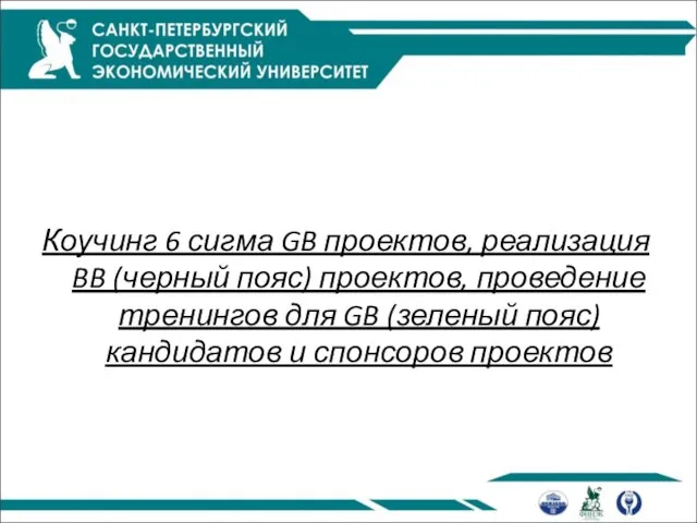 Коучинг 6 сигма GB проектов, реализация BB (черный пояс) проектов, проведение тренингов