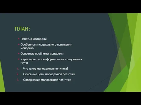 ПЛАН: Понятие молодежи Особенности социального положения молодежи Основные проблемы молодежи Характеристика неформальных