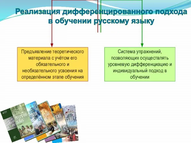 Реализация дифференцированного подхода в обучении русскому языку