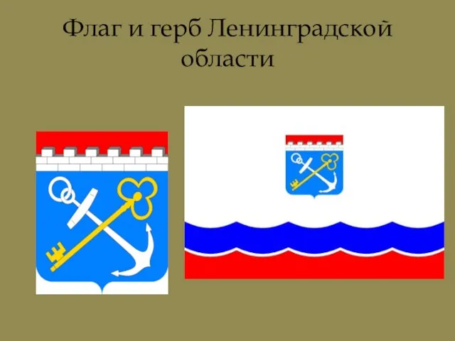 Флаг и герб Ленинградской области
