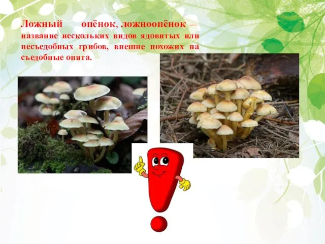 Ложный опёнок, ложноопёнок — название нескольких видов ядовитых или несъедобных грибов, внешне похожих на съедобные опята.
