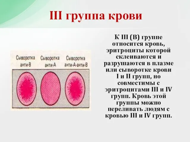 К III (В) группе относится кровь, эритроциты которой склеиваются и разрушаются в