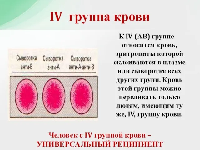 К IV (АВ) группе относится кровь, эритроциты которой склеиваются в плазме или