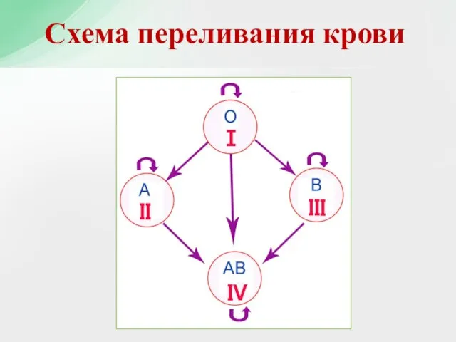 Схема переливания крови