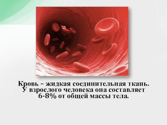 Кровь – жидкая соединительная ткань. У взрослого человека она составляет 6-8% от общей массы тела.