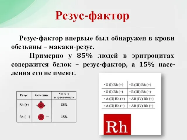 Резус-фактор впервые был обнаружен в крови обезьяны – макаки-резус. Примерно у 85%