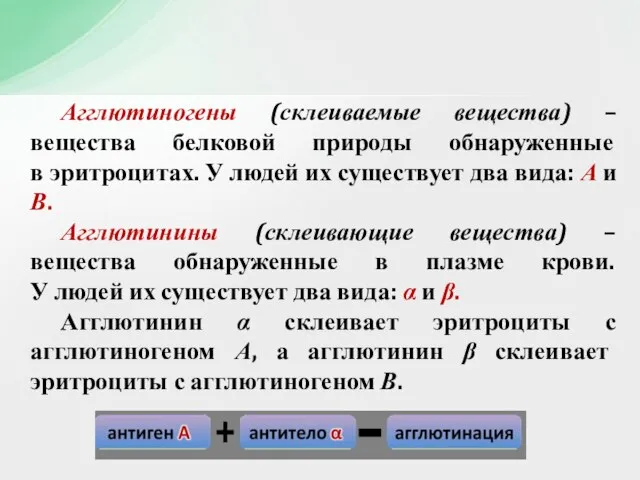 Агглютиногены (склеиваемые вещества) – вещества белковой природы обнаруженные в эритроцитах. У людей