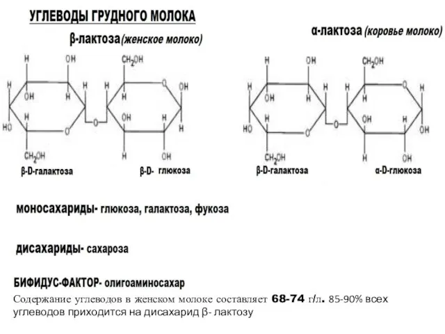 Содержание углеводов в женском молоке составляет 68-74 г/л. 85-90% всех углеводов приходится на дисахарид β- лактозу