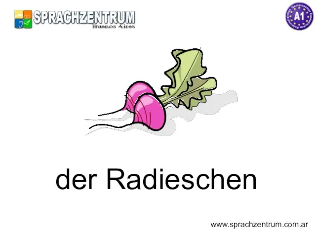 der Radieschen www.sprachzentrum.com.ar