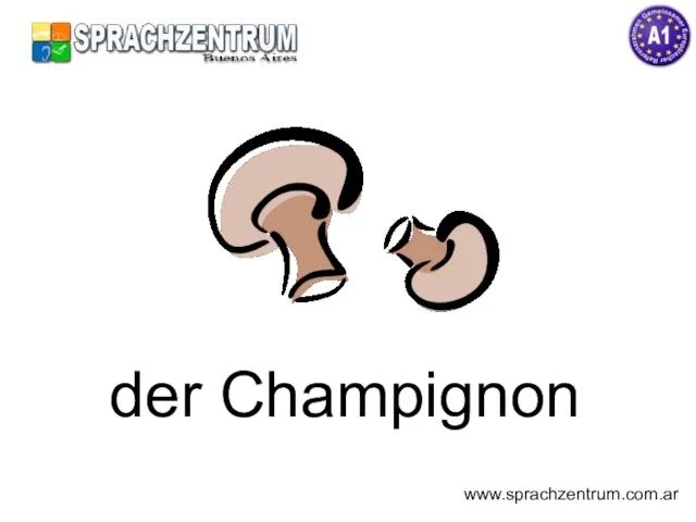 der Champignon www.sprachzentrum.com.ar