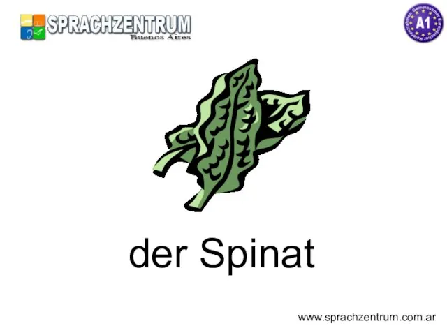 der Spinat www.sprachzentrum.com.ar