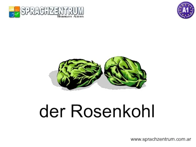 der Rosenkohl www.sprachzentrum.com.ar