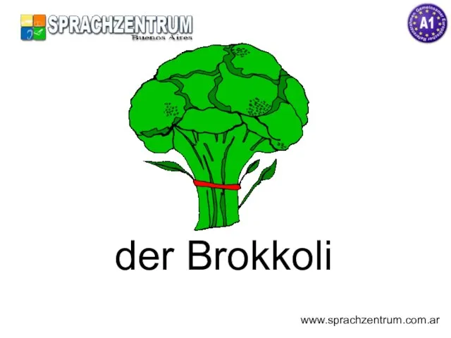 der Brokkoli www.sprachzentrum.com.ar