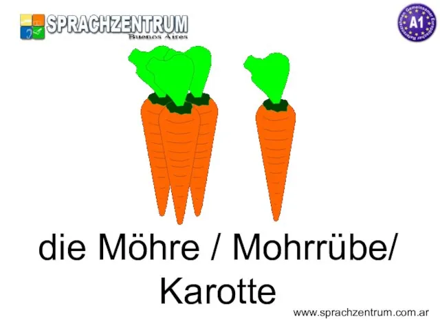 die Möhre / Mohrrübe/ Karotte www.sprachzentrum.com.ar