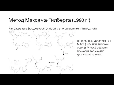 Метод Максама-Гилберта (1980 г.) Как разрезать фосфодиэфирную связь по цитидинам и тимидинам