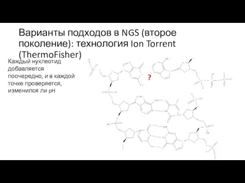 Варианты подходов в NGS (второе поколение): технология Ion Torrent (ThermoFisher) Каждый нуклеотид