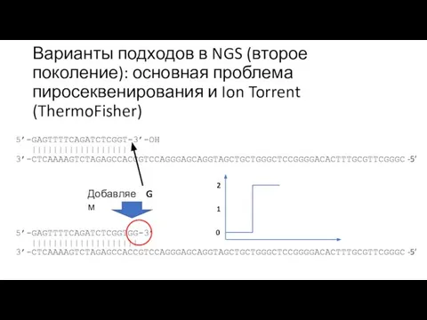 Варианты подходов в NGS (второе поколение): основная проблема пиросеквенирования и Ion Torrent