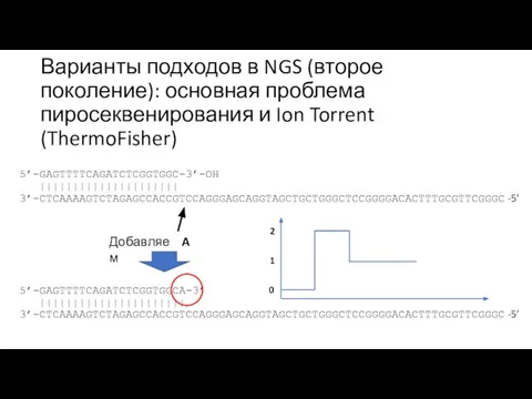 Варианты подходов в NGS (второе поколение): основная проблема пиросеквенирования и Ion Torrent