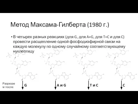 Метод Максама-Гилберта (1980 г.) В четырех разных реакциях (для G, для A+G,