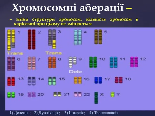 Хромосомні аберації – – зміна структури хромосом, кількість хромосом в каріотипі при