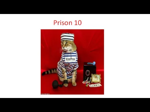 Prison 10