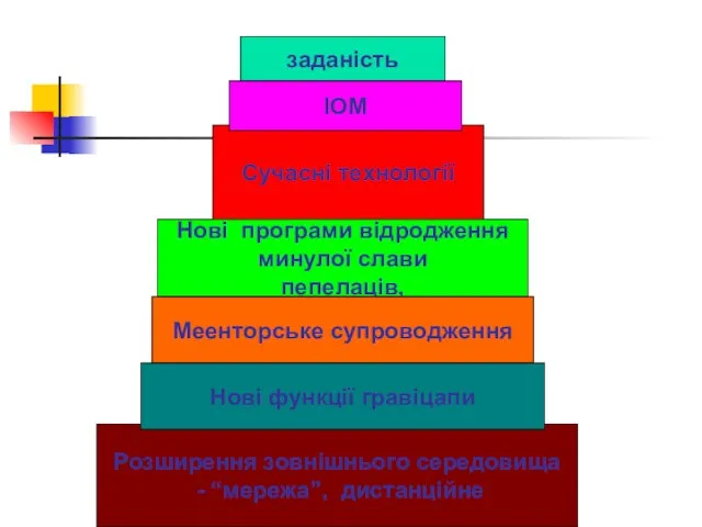 заданість Сучасні технології Нові програми відродження минулої слави пепелаців, Меенторське супроводження Розширення