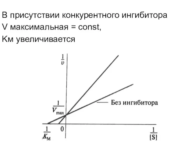 В присутствии конкурентного ингибитора V максимальная = const, Kм увеличивается