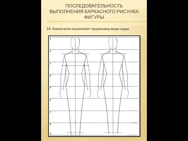 ПОСЛЕДОВАТЕЛЬНОСТЬ ВЫПОЛНЕНИЯ КАРКАСНОГО РИСУНКА ФИГУРЫ 14. Аналогично выполняют прорисовку вида сзади.